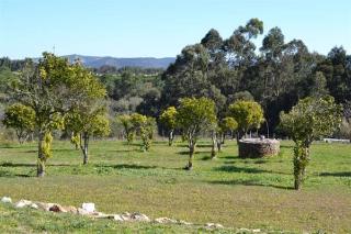 Herdade Do Freixial fotoÄŸrafÄ±
