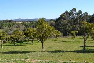 Herdade Do Freixial fotoÄŸrafÄ±