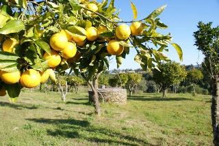 Herdade Do Freixial fotoÄŸrafÄ±