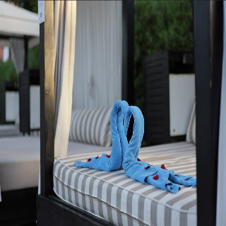 Medina Gardens - Adults Only - All Inclusive otel fotoğrafı