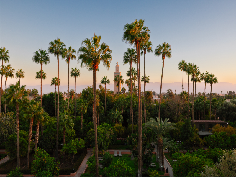 Medina Gardens - Adults Only - All Inclusive - Genel