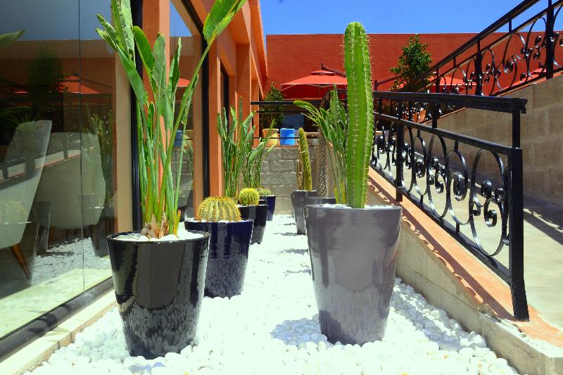 Medina Gardens - Adults Only - All Inclusive - Teras
