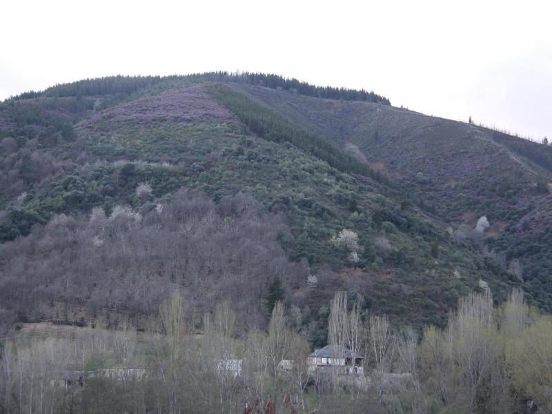 La Casa de Leo Bed & Breakfast - Genel