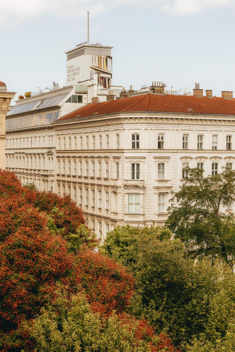 Miiro Palais Rudolf - Oda