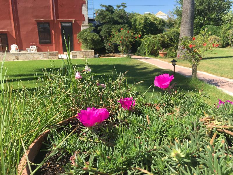 Oasis Guesthouse - Genel