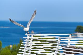 Hotel Albatros Plava Laguna fotoÄŸrafÄ±