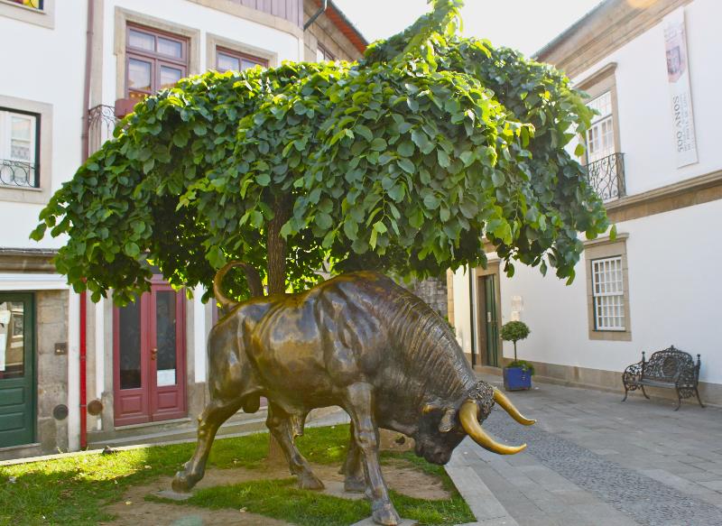 Carmo's Boutique Hotel - Aktivite