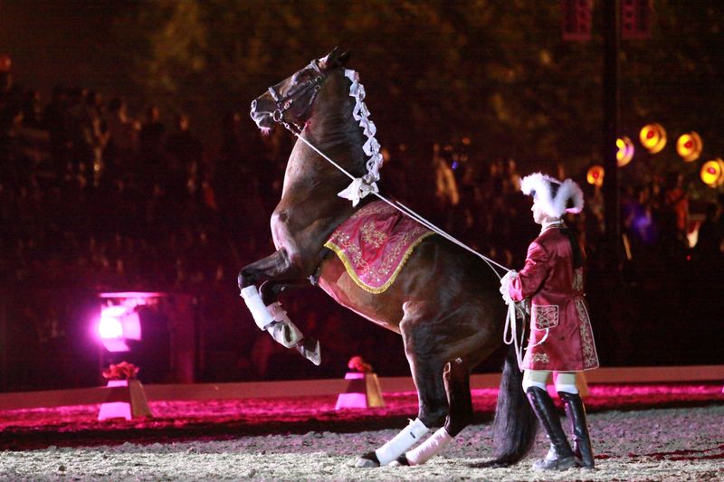 Carmo's Boutique Hotel - Aktivite