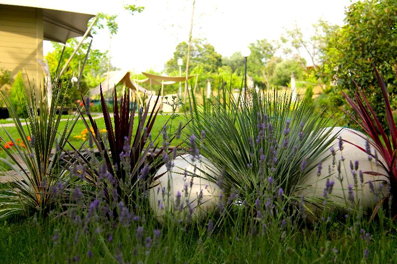 Carmo's Boutique Hotel - Genel
