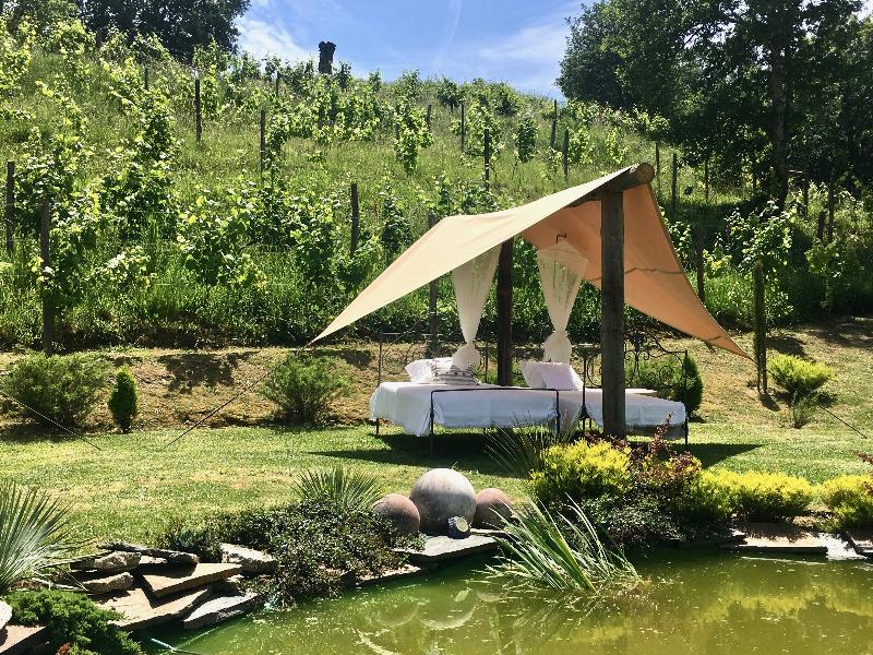 Carmo's Boutique Hotel - Genel