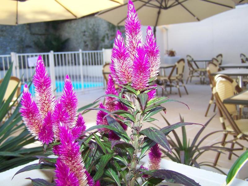 Inter-Hotel Auclair - Genel