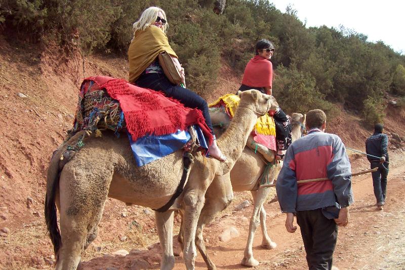 Kasbah Africa - Aktivite