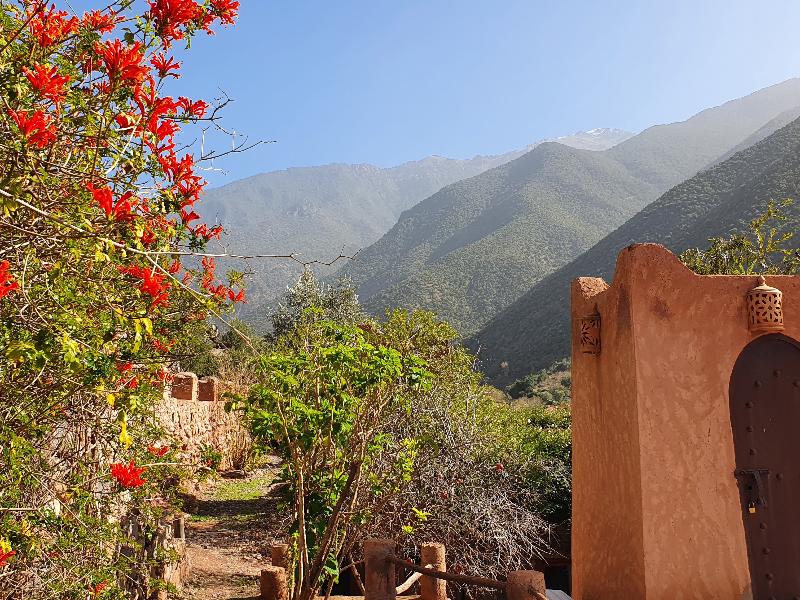 Kasbah Africa - Teras