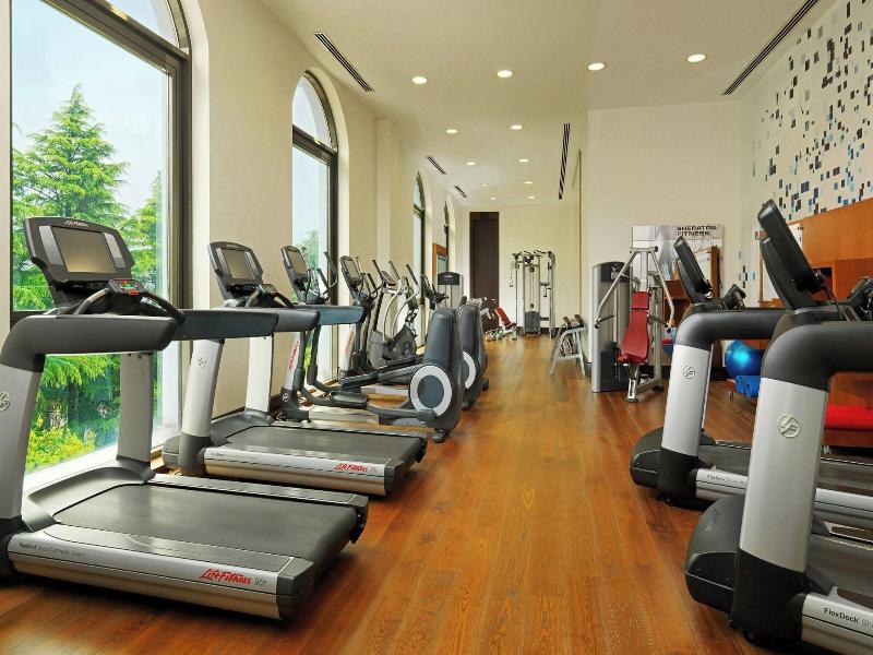 Sheraton Batumi - Aktivite