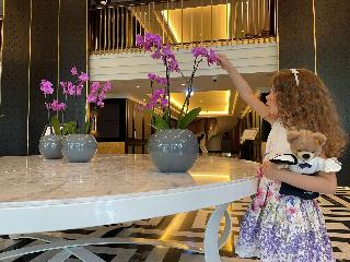 Hilton Vienna Plaza fotoÄŸrafÄ±