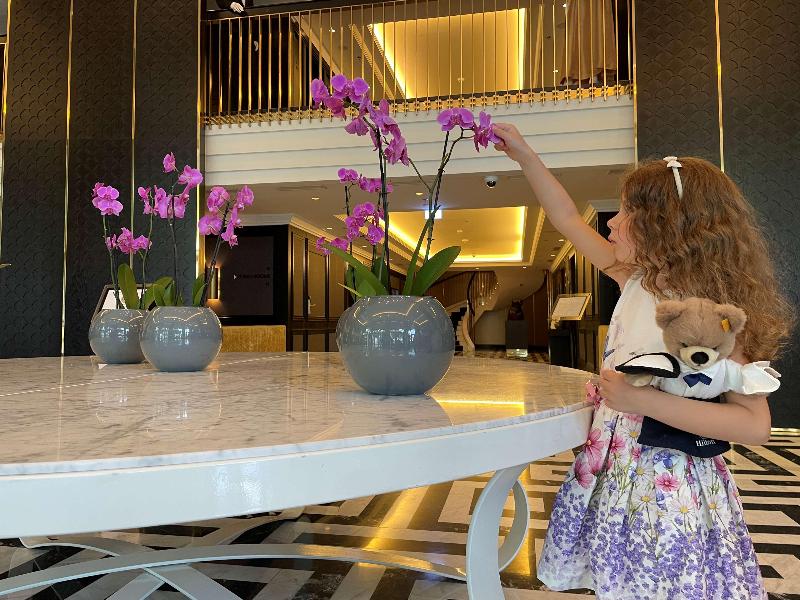 Hilton Vienna Plaza - Genel