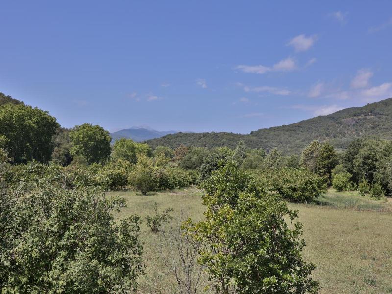 Hotel le Mas Trilles - Oda