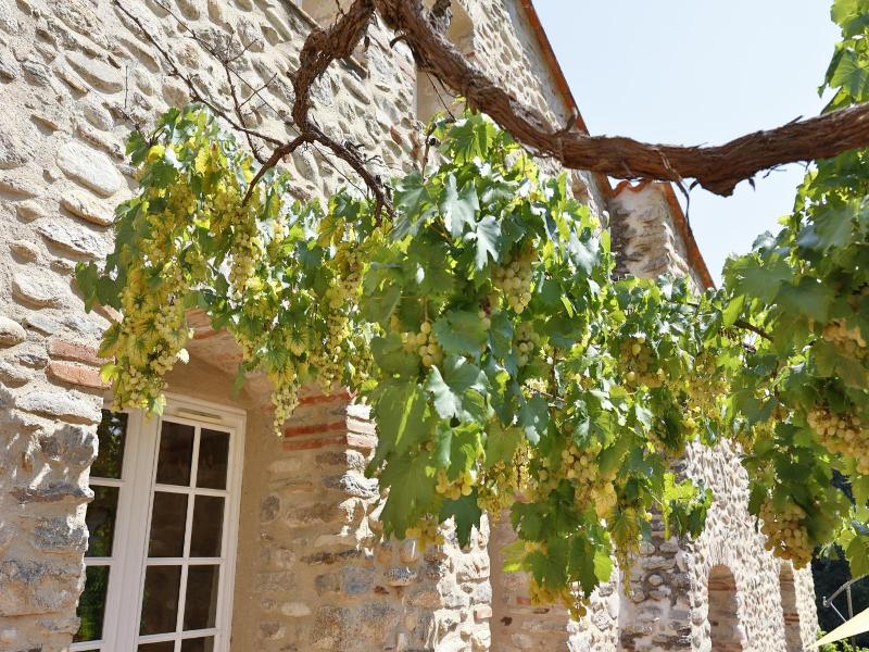 Hotel le Mas Trilles - Oda