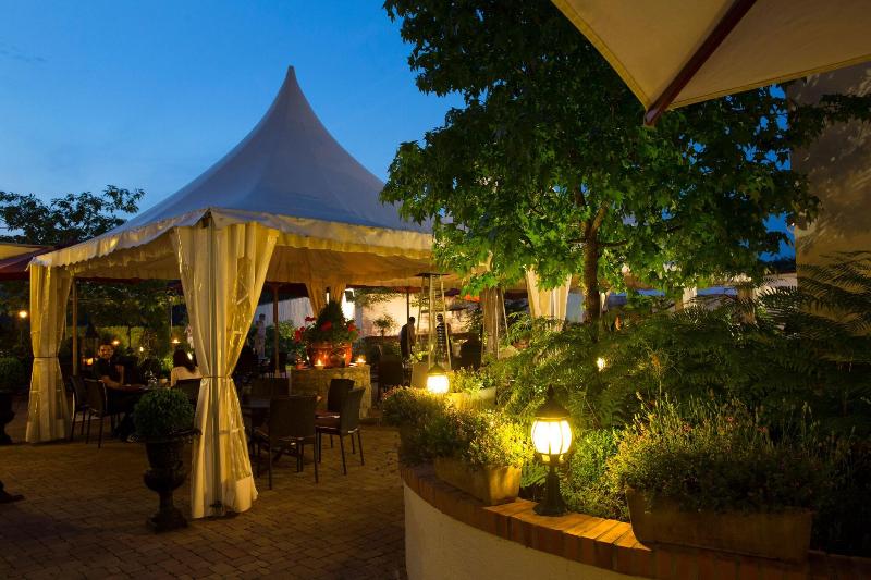 Hotel du Domaine de La Grange de Conde - Toplantı