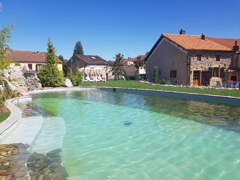 Hotel du Domaine de La Grange de Conde - Havuz
