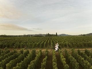 Le Montrachet fotoÄŸrafÄ±