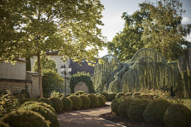 Le Montrachet - Genel