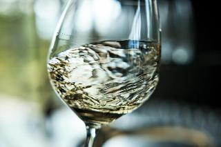 Le Montrachet fotoÄŸrafÄ±