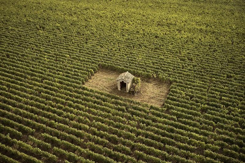 Le Montrachet - Teras