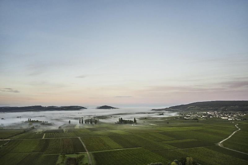 Le Montrachet - Teras