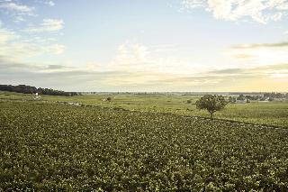 Le Montrachet fotoÄŸrafÄ±