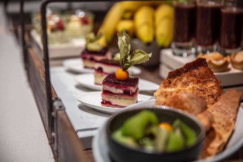 Radisson Blu Hotel - Basel - Toplantı