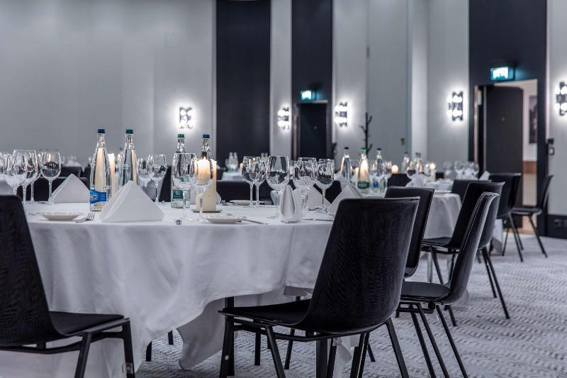 Radisson Blu Hotel - Basel - Toplantı