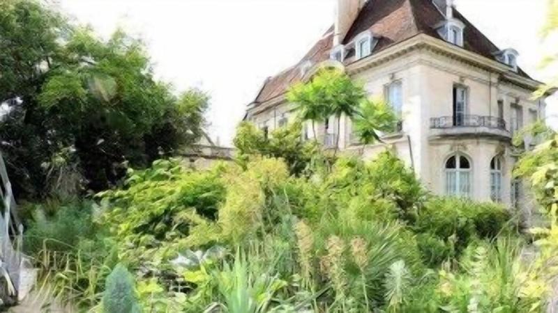 La Gourmandine - Genel