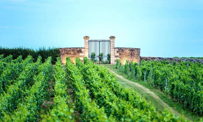 Le Chateau de Besseuil - Genel