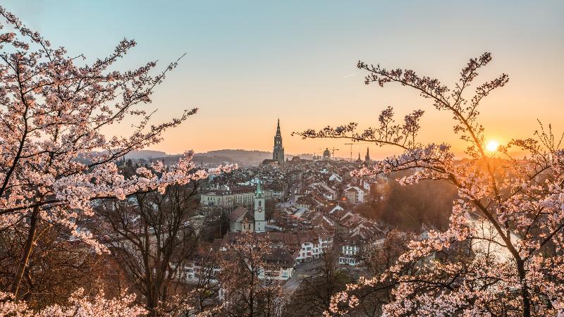 Hotel Schweizerhof Bern & Spa - Genel