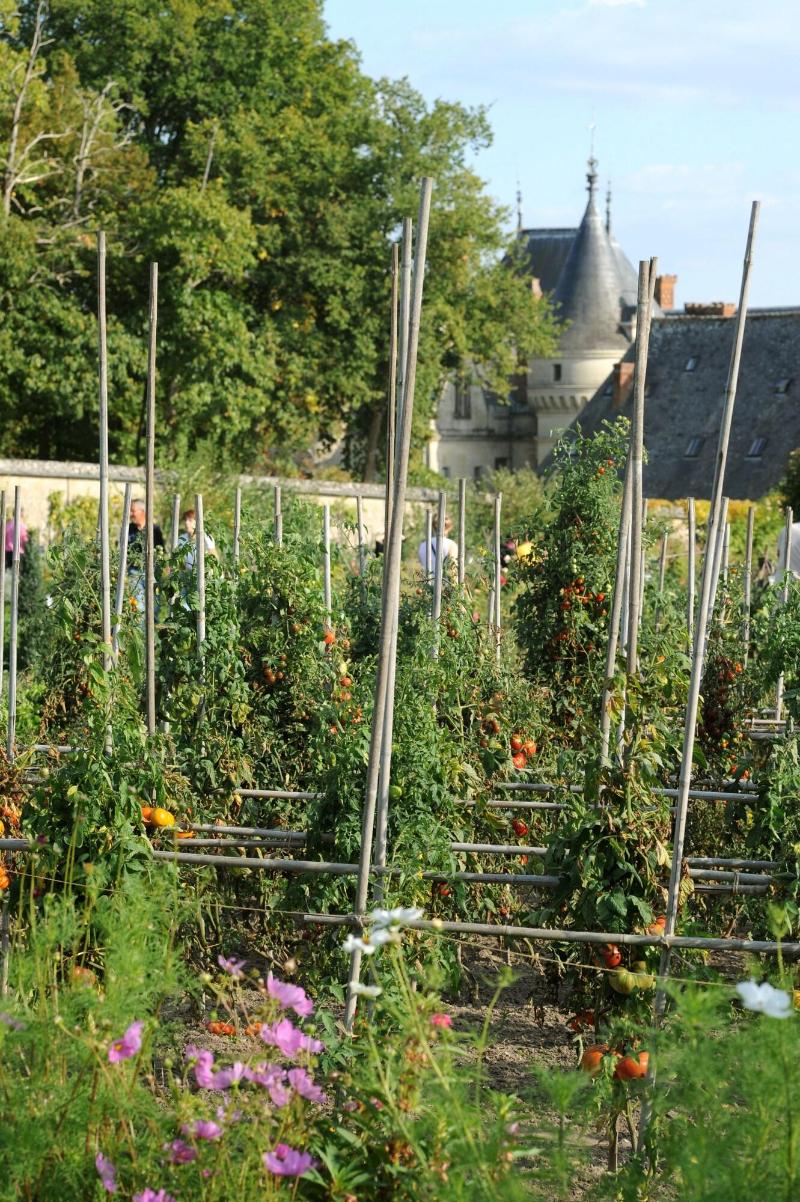 Chateau de la Bourdaisiere - Genel