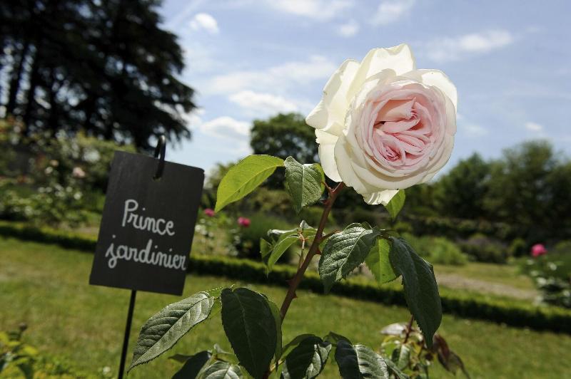 Chateau de la Bourdaisiere - Genel