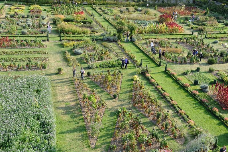 Chateau de la Bourdaisiere - Genel