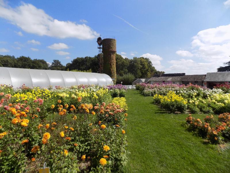 Chateau de la Bourdaisiere - Genel
