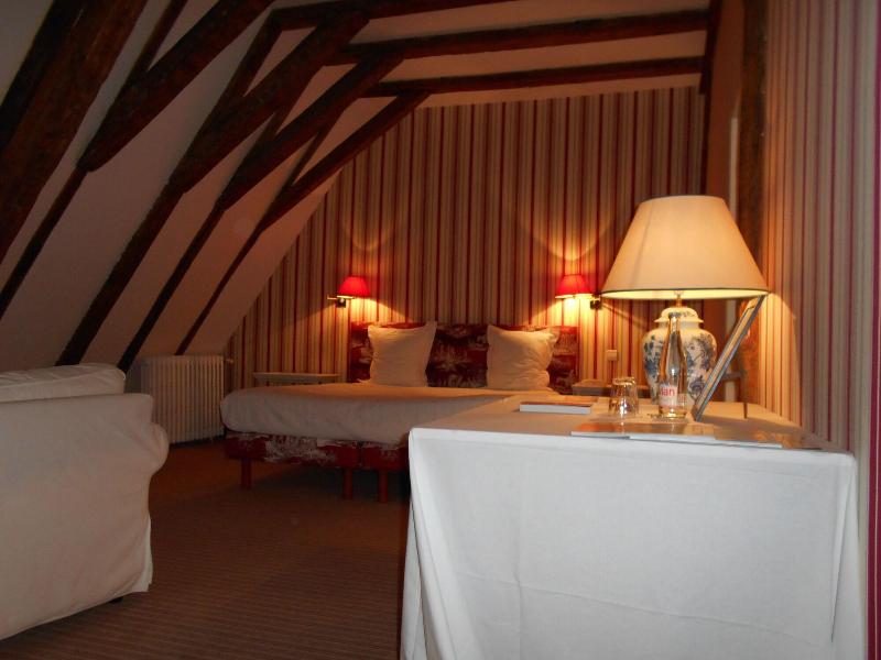 Chateau de la Bourdaisiere - Oda