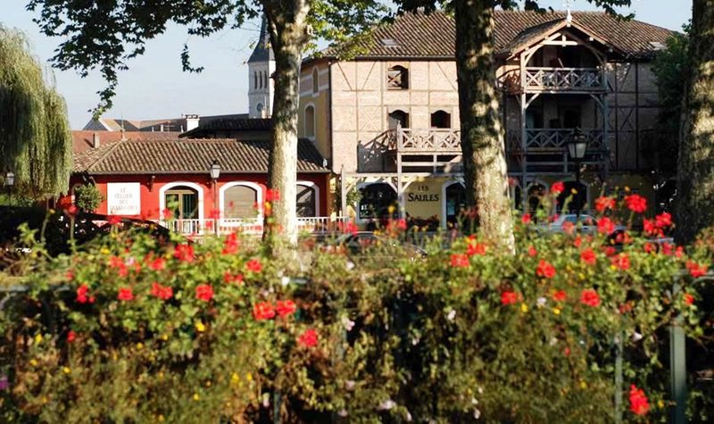 Les Saules Parc Spa - Genel