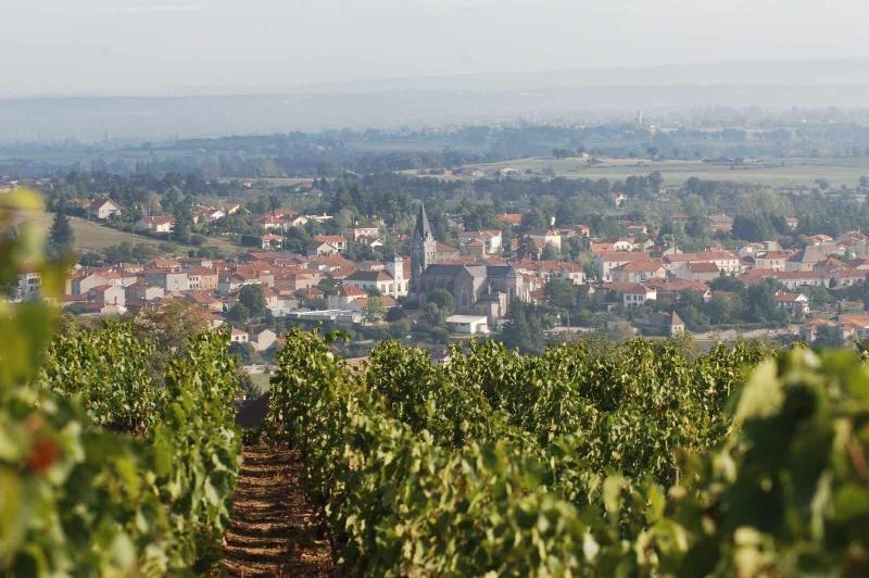 Le Chateau de Champlong - Genel