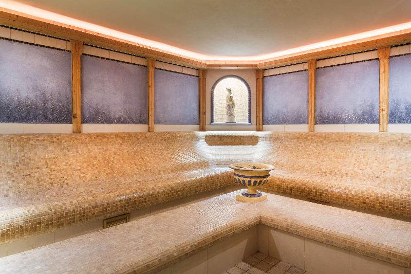 Les Violettes Hotel & Spa Alsace, BW Premier - Aktivite