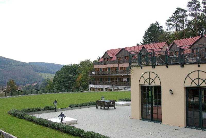 Les Violettes Hotel & Spa Alsace, BW Premier - Genel