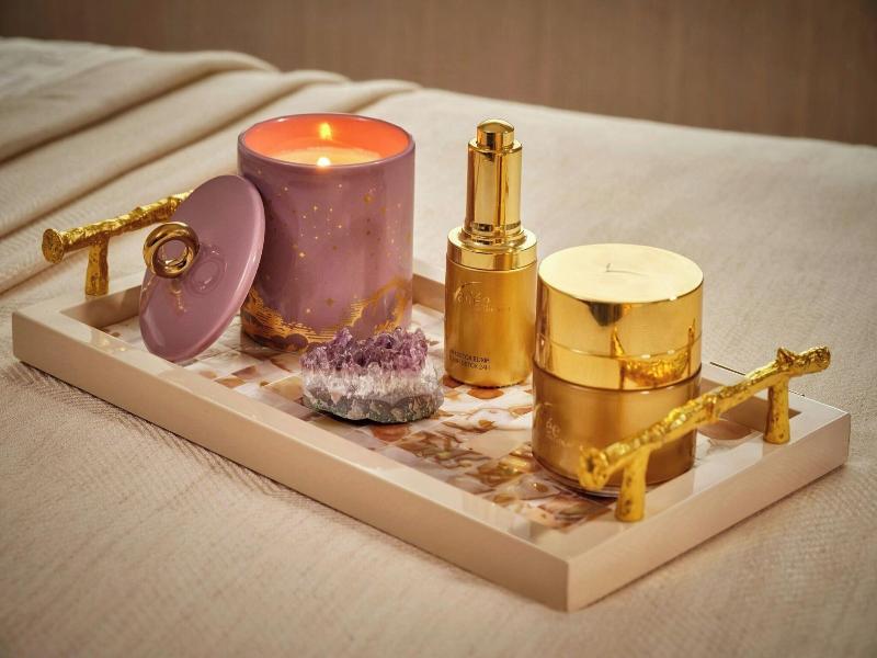 Ritz-Carlton Hotel de la Paix, Geneva - Aktivite