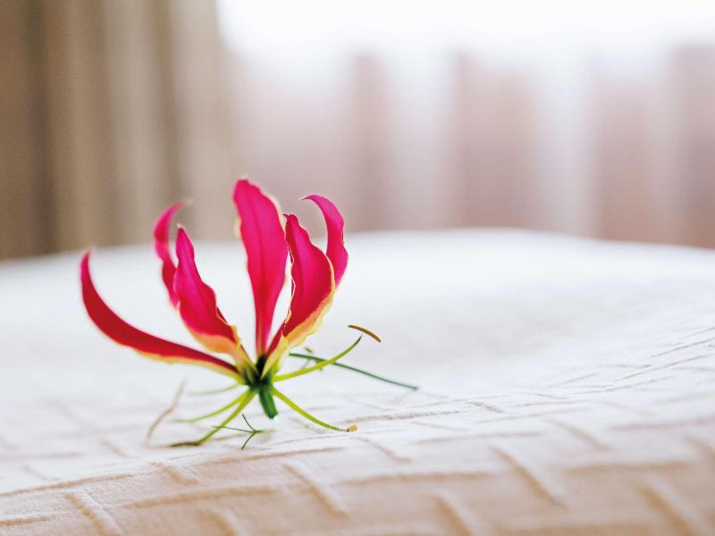 Movenpick Hotel & Casino Geneva - Oda