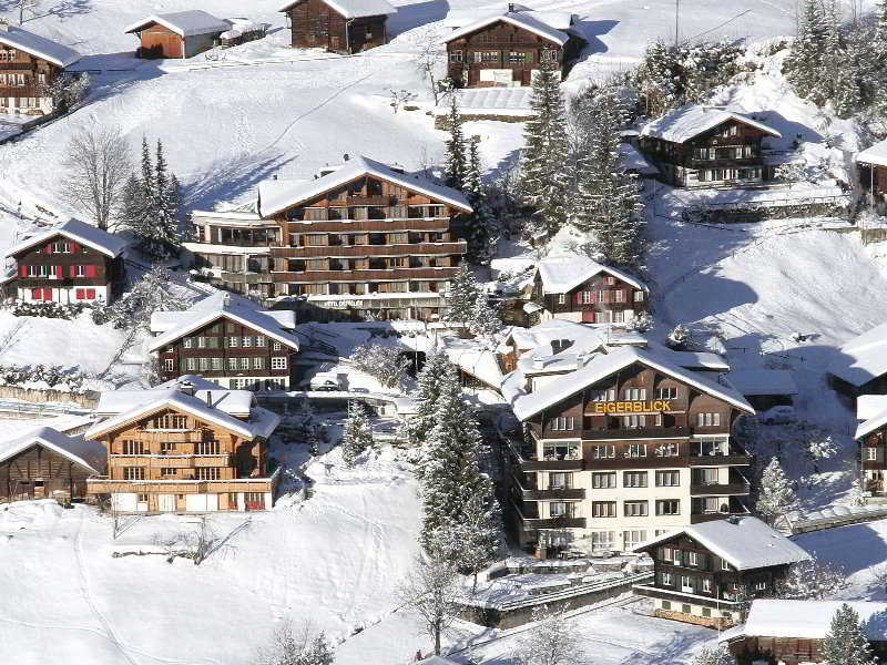 Eigerblick-Silberhorn AG otel fotoğrafı