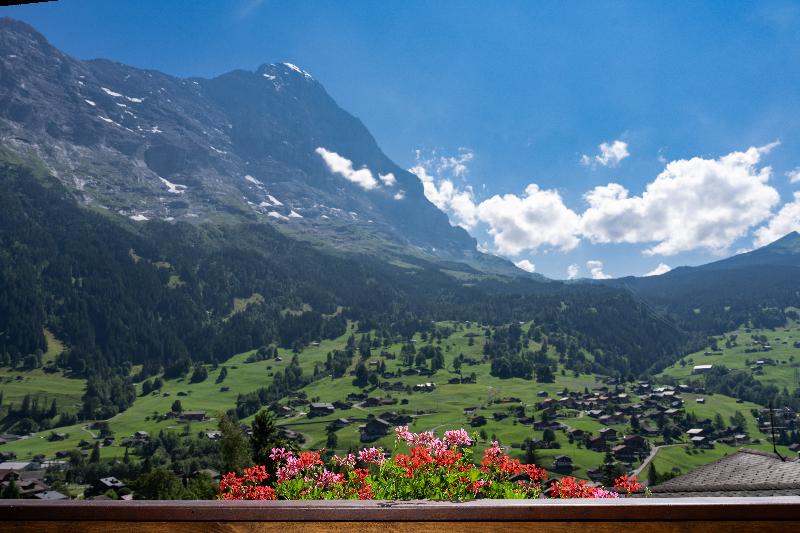 Jungfrau Lodge Swiss Mountain - Genel