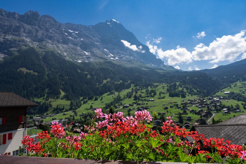 Jungfrau Lodge Swiss Mountain - Genel