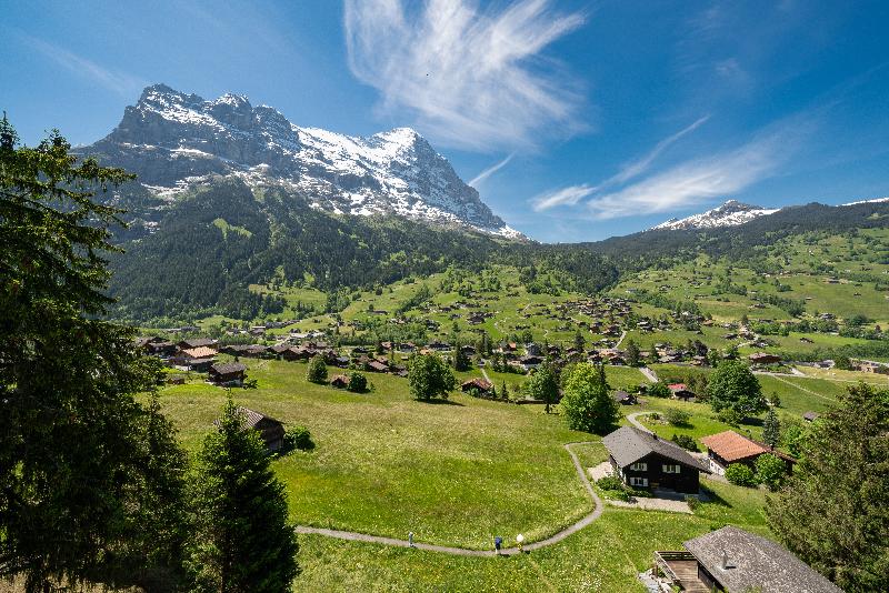Jungfrau Lodge Swiss Mountain - Genel